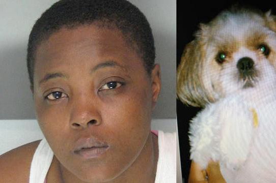 Haniyyah Barnes, accused of killing her neighbor's dog HoneyBey